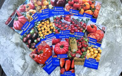 Samenfestes Saatgut vs Hybrid 2026: Der komplette Vergleich